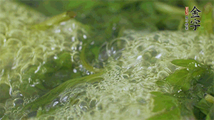 艾草葉放入煮沸的水中，加點(diǎn)食用堿，待變成深綠色時(shí)撈出，放入冰水中，瀝干備用。