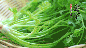 挑選鮮嫩的香菜，洗干凈后，處理成小段。