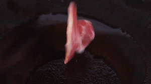 鍋中倒入橄欖油燒熱，放入淡火腿小火煸炒至打卷狀態(tài)。