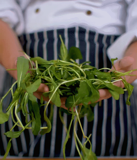 馬蘭頭焯水，切成細末。